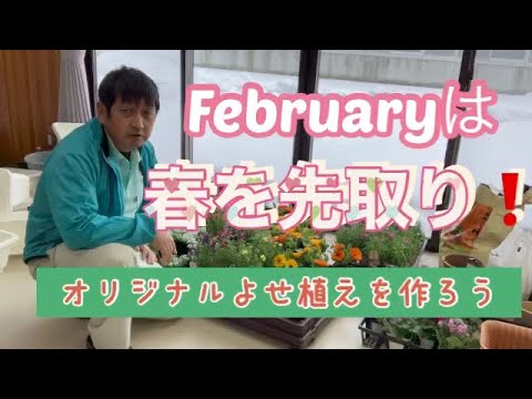 園芸 素敵な春のプランターを作ろう