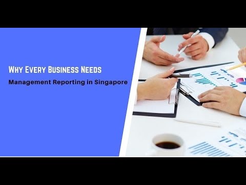 Why Every Business Needs Management Reporting in Singapore