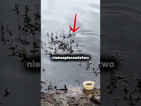 Przez te okulary znajdziesz dosłownie wszystko😎😲