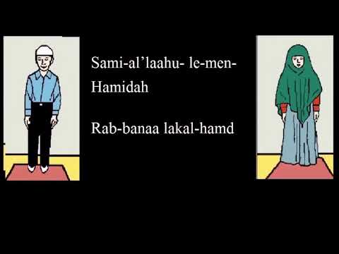 Learn How To Pray 4 Rakat(Units) (Dhuhr, Asr, Isha) Step By Step For Beginners with subtitles (New)