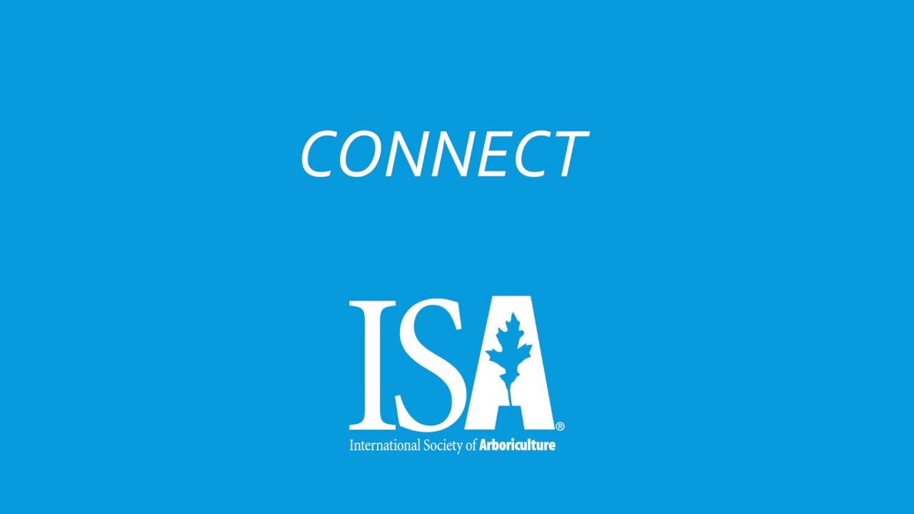 Learn, Grow, Connect with ISA