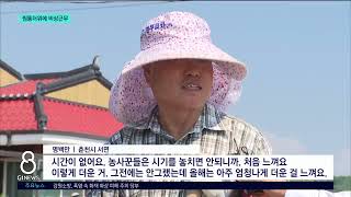 [G1뉴스] 찜통 더위 언제까지..비상 2단계 가동