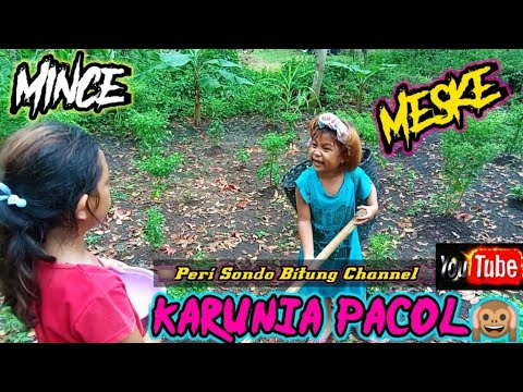 rampa²-part-2-karunia-pacol