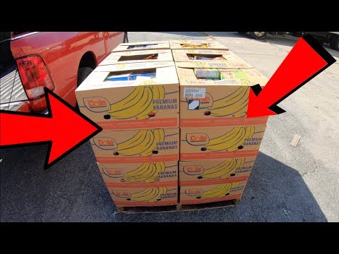 download lagu mp3 mp4 Catering Boxes For Sale, download lagu Catering Boxes For Sale gratis, unduh video klip Catering Boxes For Sale