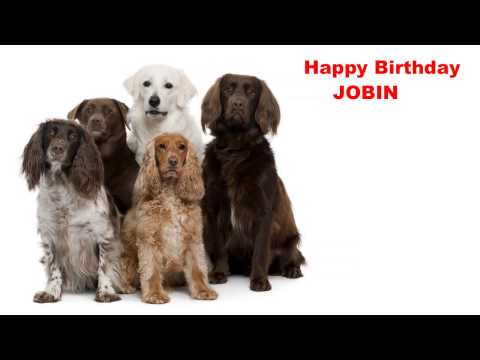 Jobin  Dogs Perros - Happy Birthday