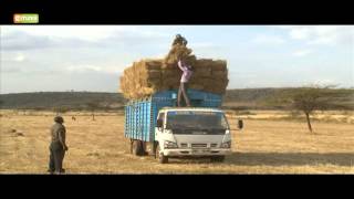 Smart Farm - Hay farming