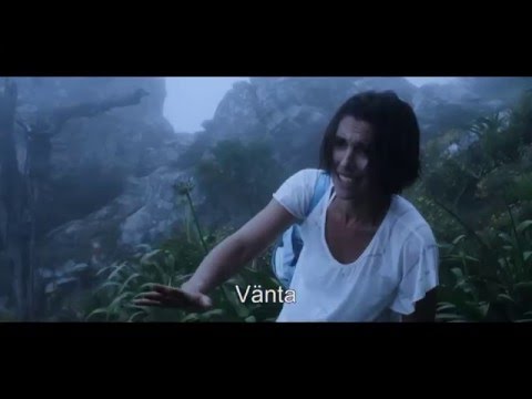 Barn födda i konfliktzoner