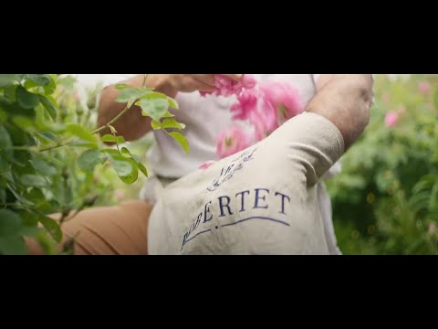 Robertet Futuring Naturals