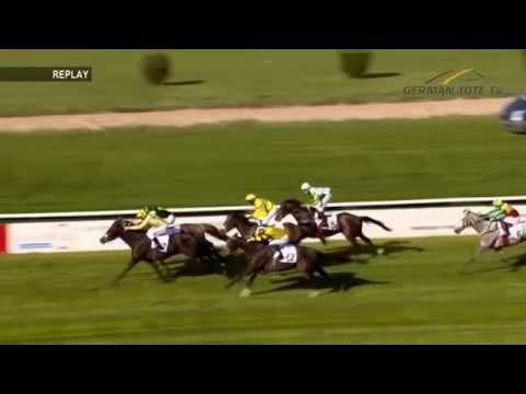 XTIP Sportwetten-Preis