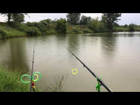 Pescuit Balta Egreta (fosta Balastiera) - Lipova