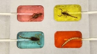 20 САМЫХ СТРАННЫХ ЛАКОМСТВ со ВСЕГО МИРА