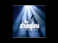 The Stranglers - I Hate You [Live Version]