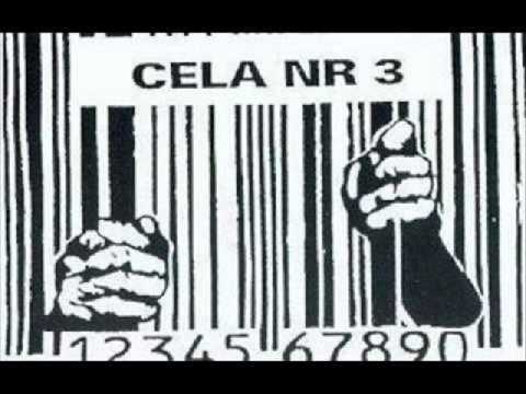 Cela Nr.3 - Afganistan