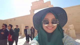 preview picture of video 'Abu Simbel, Phillae, Luxor and Aswan, Valley of the King and Hatshepsut Temple |Vlog-Trip'