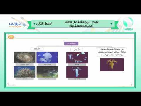 أول المتوسط | الفصل الدراسي الثاني 1438 | علوم | |الحيوانات اللافقارية