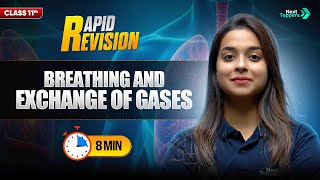 Breathing and Exchange of Gases | CBSE Class 11th Biology | Full Chapter in 8 Mins | Rapid Revision