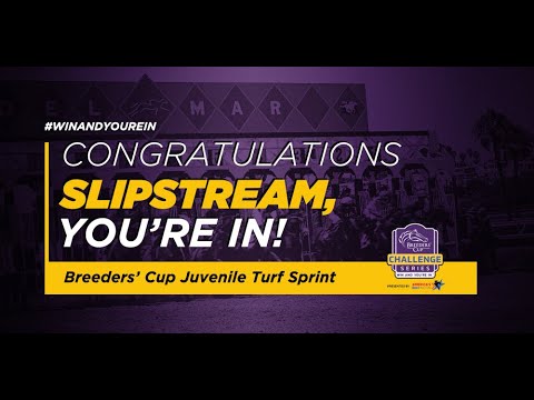 2021 Futurity - Slipstream