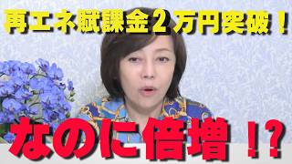 斜面崩落の太陽光パネル…なのに再エネ「倍増」を目指す自民党の狂気。再エネ賦課金2万円突破で国民負担は限界へ【非公式日本保守党切り抜き】＃日本保守党  ＃保守党   ＃百田尚樹  #有本香