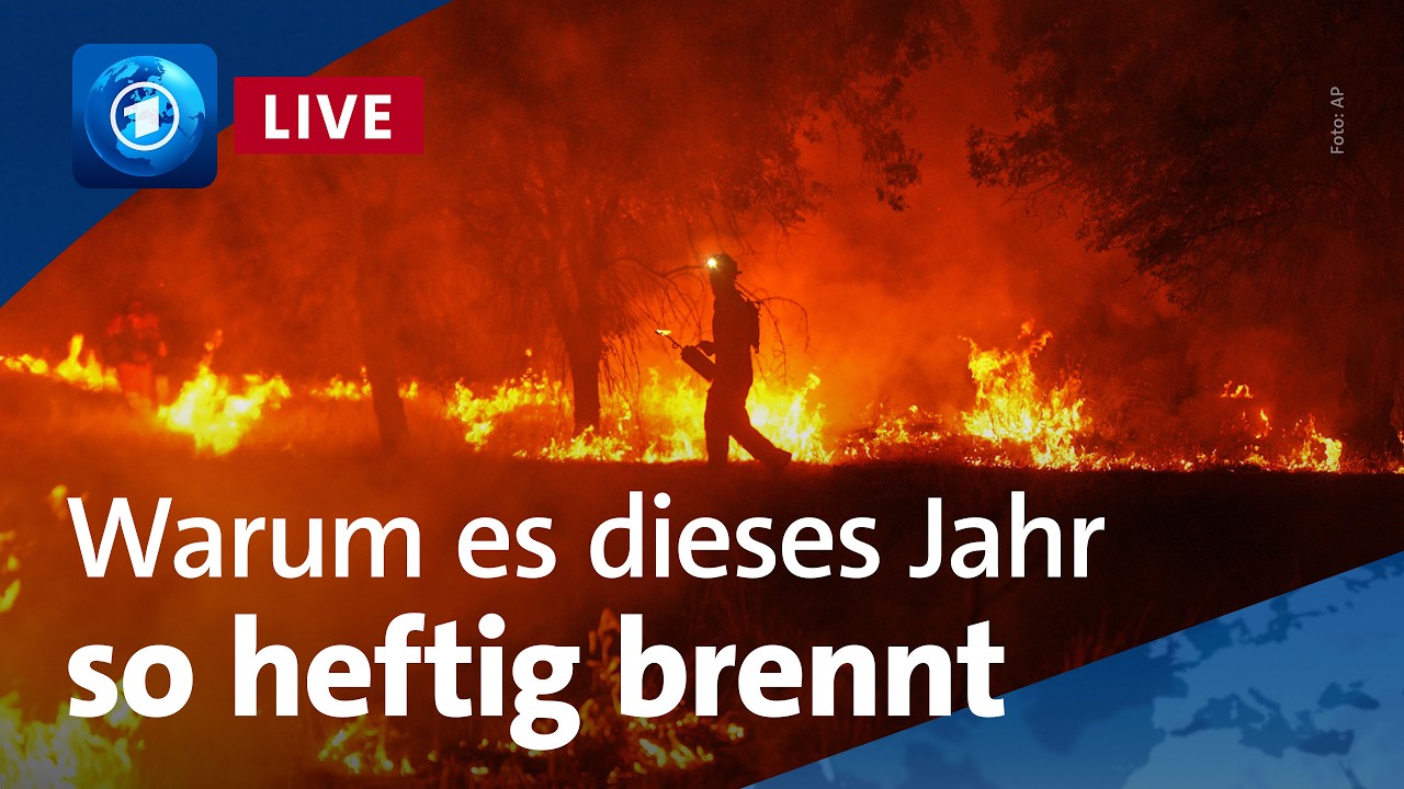 🌍 tagesschau24 Top-Thema, 28.7.2026 | Waldbrände in Europa