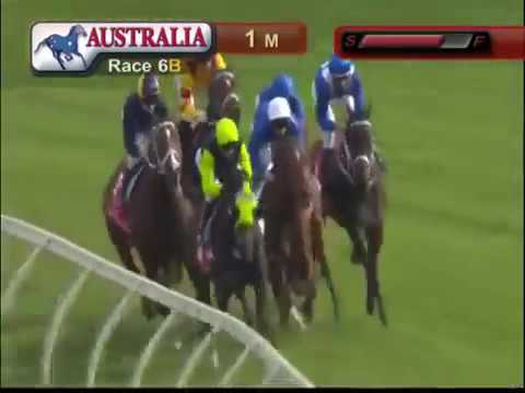 Winx 2016 GEORGE MAIN STAKES 11 in a row!