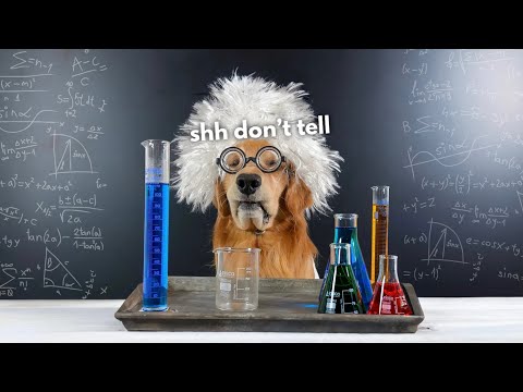 I Have a Secret Project!