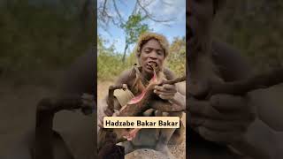 Download lagu - Cara Unik Suku Hadzabe Memasak Babon: Resep Legendaris dari Afrika! mp3