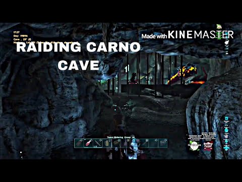 ONLINE RADING A CARNO CAVE|Smalltribes|penguin