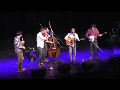 Lonely Heartstring Band - Steal the Night