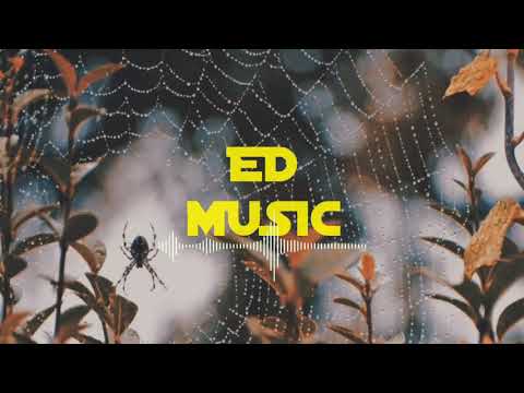 FirdavsRap - O'rgimcheni to'ri