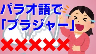 「あちいね」「味大丈夫」そのまま通じる！日本人に馴染みがありすぎるパラオ語10選【海外雑学】