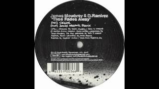 D Ramirez & James Mowbray - Time Fades Away (Daniel Stefanik Remix)