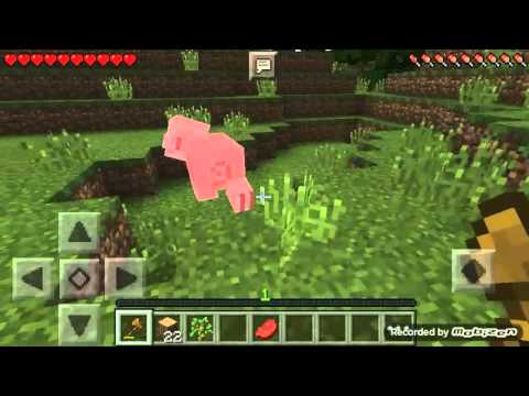 MINECRAFT POWRACA.....