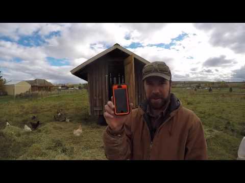 ABC acres: Mobile Coops 1 vs. 2,  "The Coop Off Poop Off" - episode #051