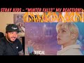STRAY KIDS - "Winter Falls" MV Reaction! STRAY KIDS - "Winter Falls" MV Reaction!