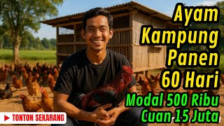 Download lagu Rahasia Ayam Kampung Panen 60 Hari! Cuma Modal 500 Ribu, Untung 15 Juta dari Ayam Kampung! mp3 Download lagu Rahasia Ayam Kampung Panen 60 Hari! Cuma Modal 500 Ribu, Untung 15 Juta dari Ayam Kampung! mp3