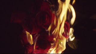 Travis Garland - Bodies (Official Video)
