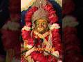 Tere Dham Ka Pani Bala Ji Hanumanji Balaji Hanumanchalisa Bhakti Bhajan Shorts Trending