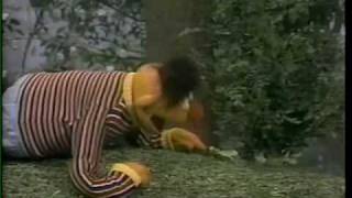 Sesame Street - Insects In Your Neighborhood (FULL VERSION)