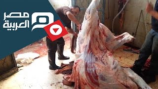 preview picture of video 'مصر العربية |جزار بقنا : السلخانة مليئة بالفئران ومياه معفنة ومجاري'