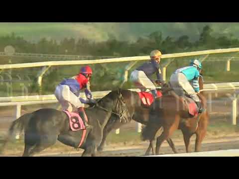 220827 c11 - LA RESILIENTE - HIPODROMO LAS PIEDRAS