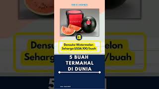 Download lagu 5 Buah termahal di dunia mp3