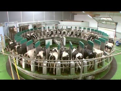 download lagu mp3 mp4 Gea Germany, download lagu Gea Germany gratis, unduh video klip Gea Germany