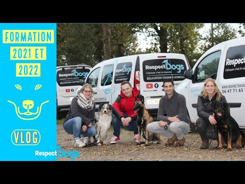 , title : 'Comment devenir éducateur canin ? La formation Respectdogs ! (Vlog)'