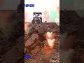Whatsapp Status Editing