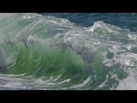 GOING TO THE BEACH-STORYBOARD BY RAFI MAJID PADlLAH D3-BAHASA INGGRIS (235311054) 1B-ING