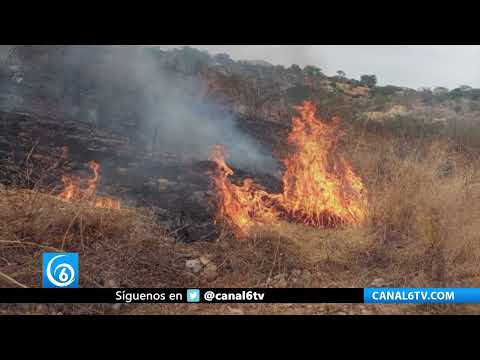 Video: Piden ayuda para combatir incendios en Guerrero ante falta de insumos