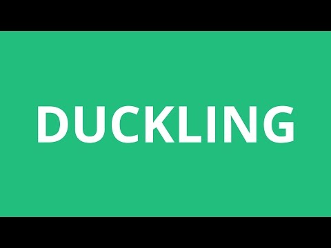 How To Pronounce Duckling - Pronunciation Academy