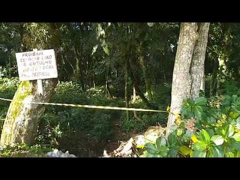 Jovem é encontrado morto em terreno baldio em Bento