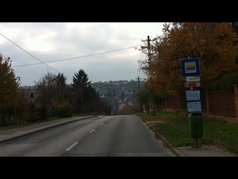 Budapest 250-es járat; Kelenföld vasútállomás M - Savoya Park