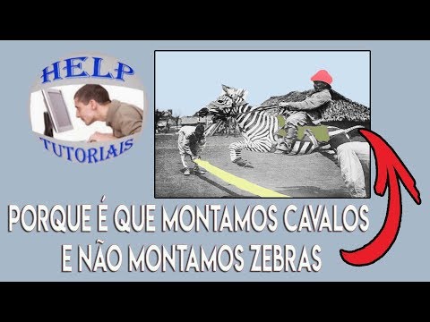 Por que não montamos em zebras como fazemos com os cavalos ?